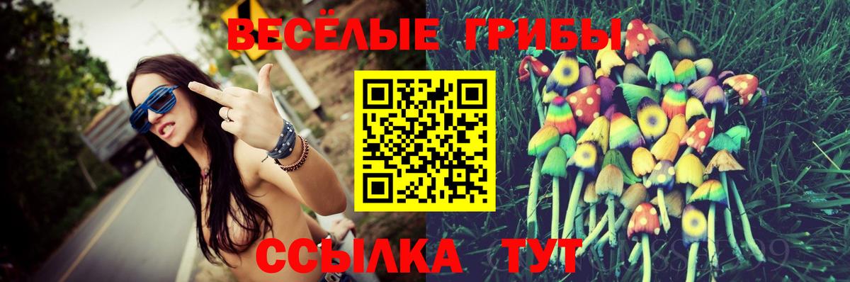 Березники  Псилоцибиновые грибы прущие грибы  Вход с VPN 